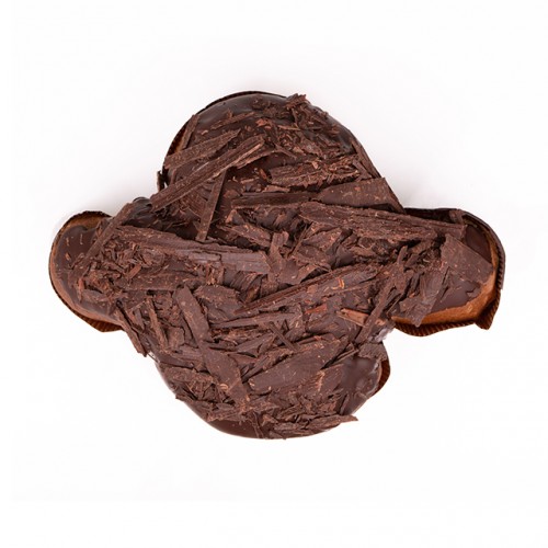 Colomba al cioccolato...